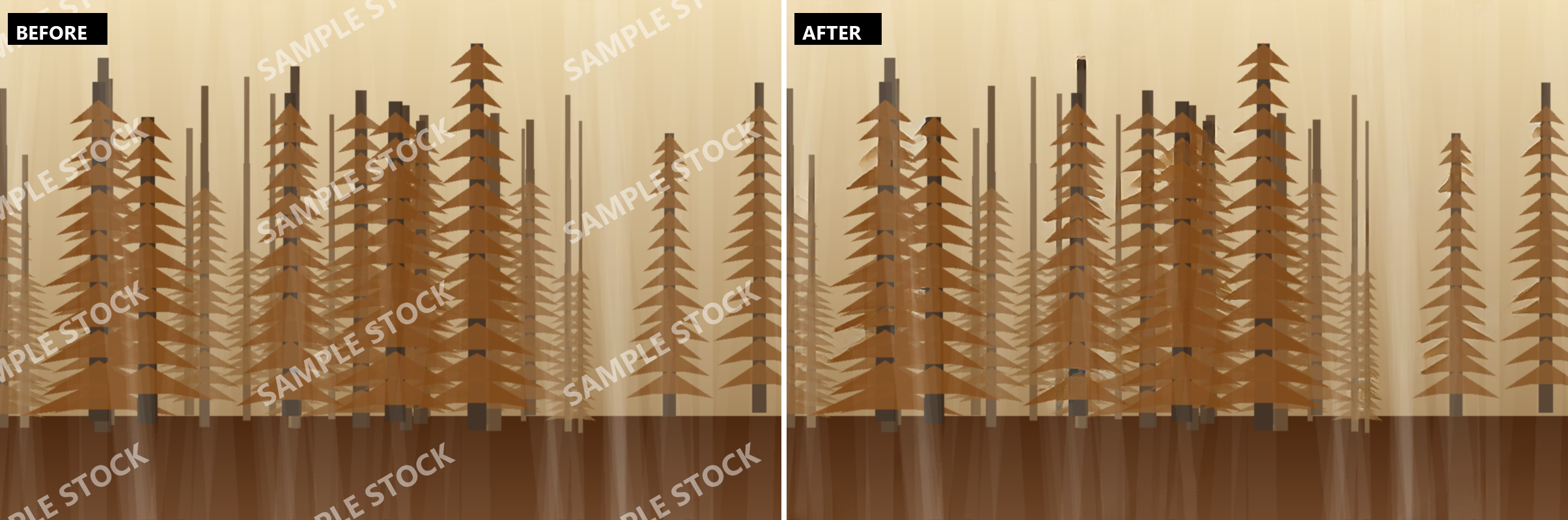Before and after watermark removal on an autumn conifer forest in warm amber light, covered by a repeating diagonal SAMPLE STOCK watermark, shown next to the same forest with the watermark gone and the tree trunks and mist intact.